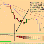 MACD Forex Trading System