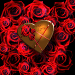 Red rose＆Choco