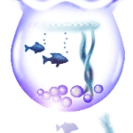 Friendly Fish
