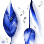 Duet