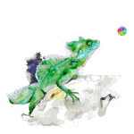 Chamaeleon, Animation, www.akiroell.de