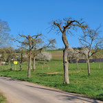 Foto: Kurt Valerius