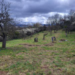 Foto: Kurt Valerius