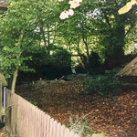 Garten am Privateingang "Villa Becher" 1998/99 - vor der Kernsanierung