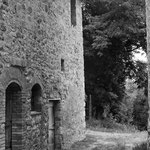 Vicino a Monteriggioni Siena