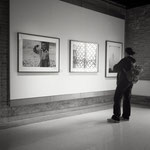 Mostra Elliott Erwitt