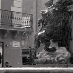 Forli