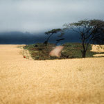 Altopiano in Tanzania