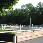 Führanlage
