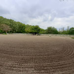 Springplatz ca.45mx75m