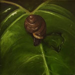 Schnecke (Öl auf Leinwand 20x20)