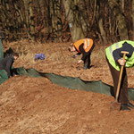 Aufbau des zweiten Amphibienzauns auf der Wiese