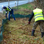 Freilauf für Amphibien und die Zähler/innen
