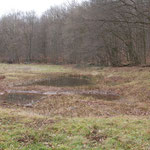 Umrundung der Teiche auf der Südseite