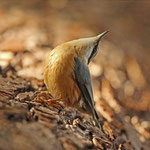 Zweiter, der seinen Hals verbiegt