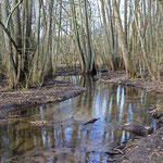 Ruthsenbach als Wasserspender