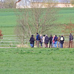 Exkursionsgruppe im Messeler Feld