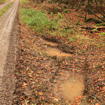 Mehr nasse Tümpel als 2015 übrig