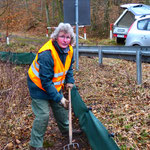 Sieht bereits gangbar aus