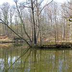 Dianateich - Blick nach Norden