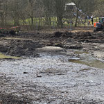 Schlamm statt Wasser zum Ablaichen