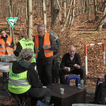 Mittagspause mit Waldpicknick