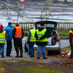 Wo laichen die Amphibien auf der Teichseite?