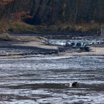 Nur der Mühlbach / Ruthsenbach führt Wasser