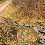 Einer der angelegten Folientümpel