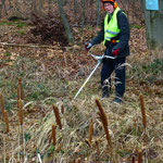 Mähen für einen Zaunkorridor