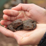 Ohne Anfassen geht es nicht