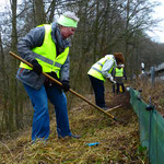 Brennnesseln wachsen bereits