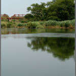 River - Komatie Poort