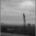 Windmill - 001