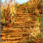 Steps - Drie Rondawels