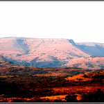 Schagen - Nelspruit 4