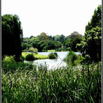 Picnic Dam