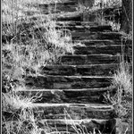 Steps 2