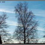 Sky Stripes - Holland