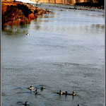 Vaal Dam