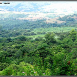 Lowveld Landscape 1