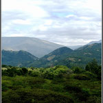 Schagen - Nelspruit 3