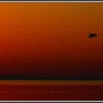 Sunrise 3