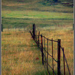 Farm Fence