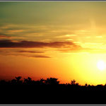 Beautiful Sunset