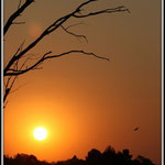 Sunset 3