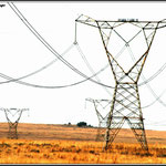 Electrical Phylons