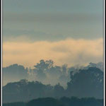 Early Morning Johannesburg