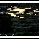 Crocodile River