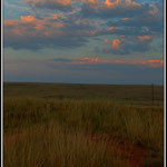 Farm Landscape